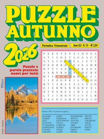 Puzzle primavera, estate, autunno, inverno