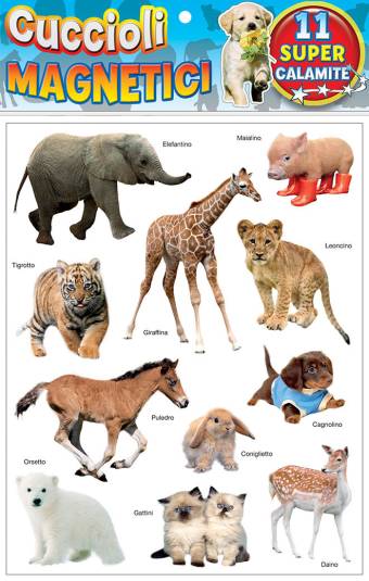 Cuccioli magnetici