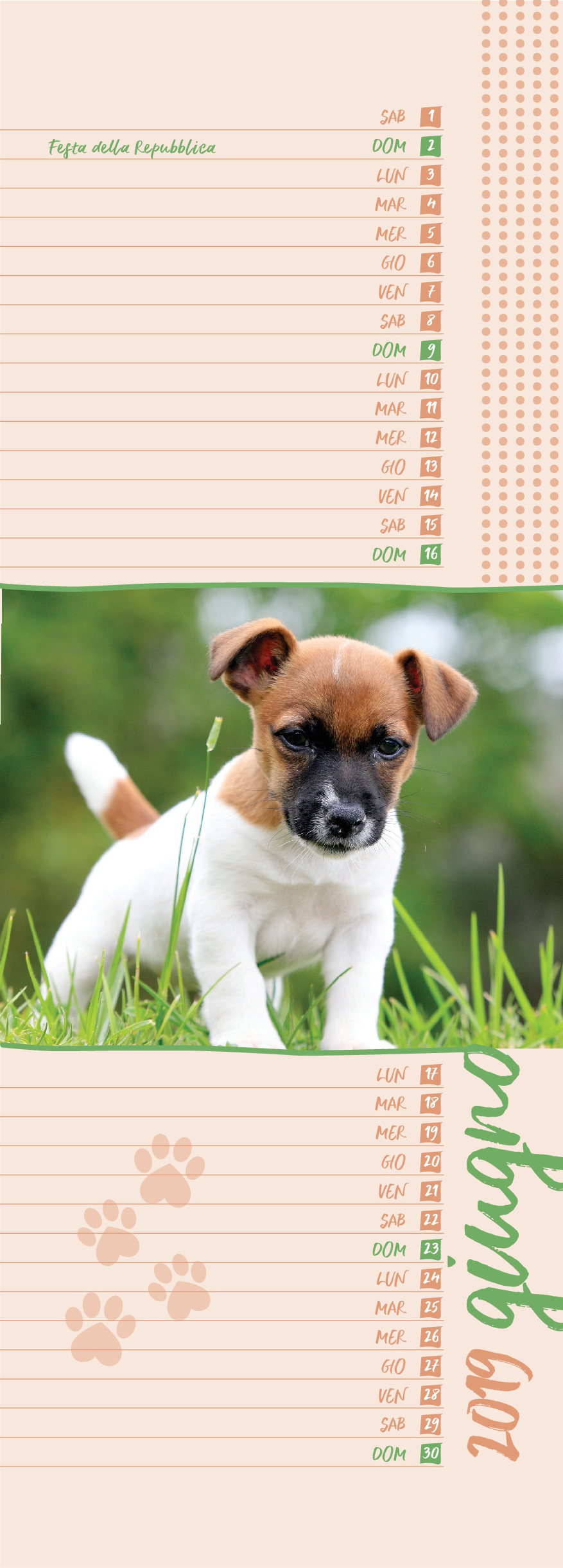 calendario cani con agenda 2019 euro publishing s r l twelve dogs of christmas